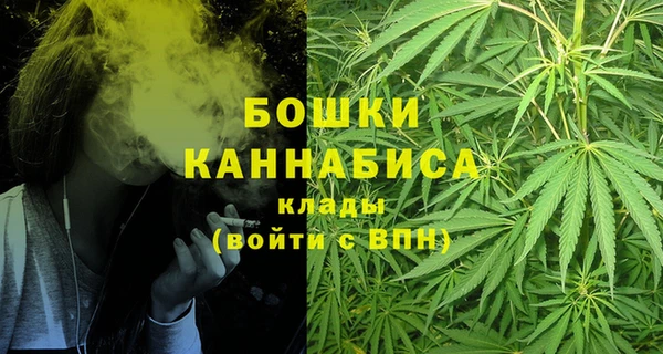 ПСИЛОЦИБИНОВЫЕ ГРИБЫ Балабаново