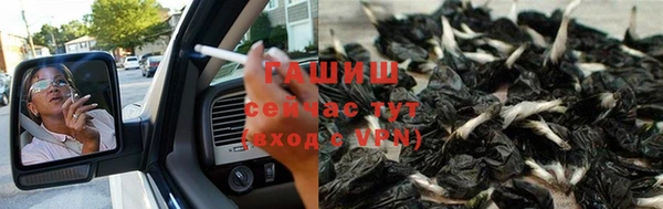 ПСИЛОЦИБИНОВЫЕ ГРИБЫ Балабаново